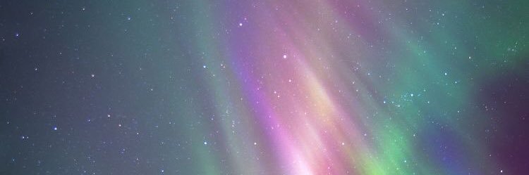 Volynskayaaa's profile banner image