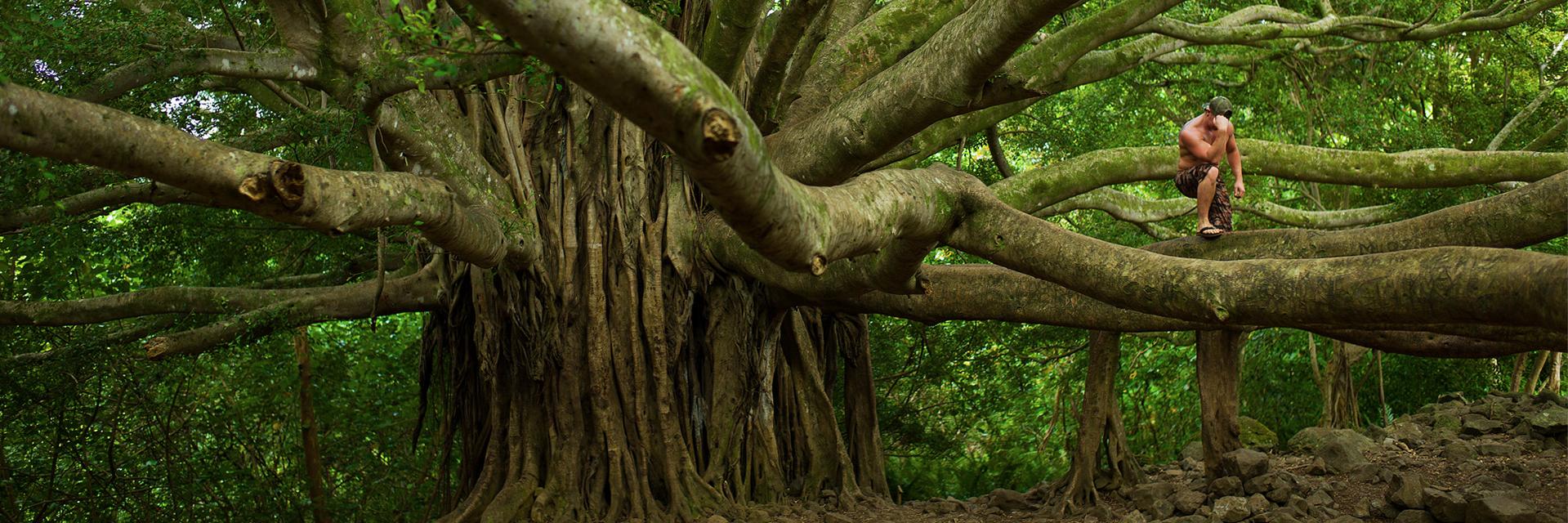 MauiWorkshop's profile banner image