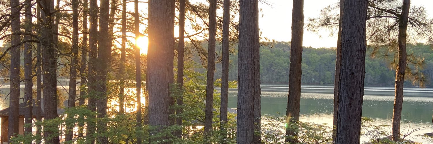 Missy LeRoy Pruner banner