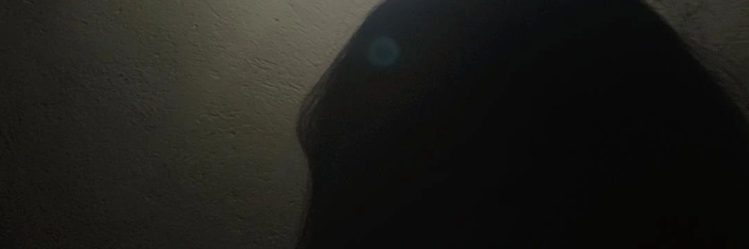 Aglicita's profile banner image