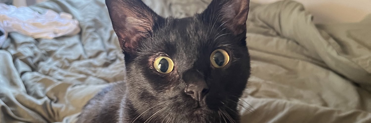 allifrash's profile banner image