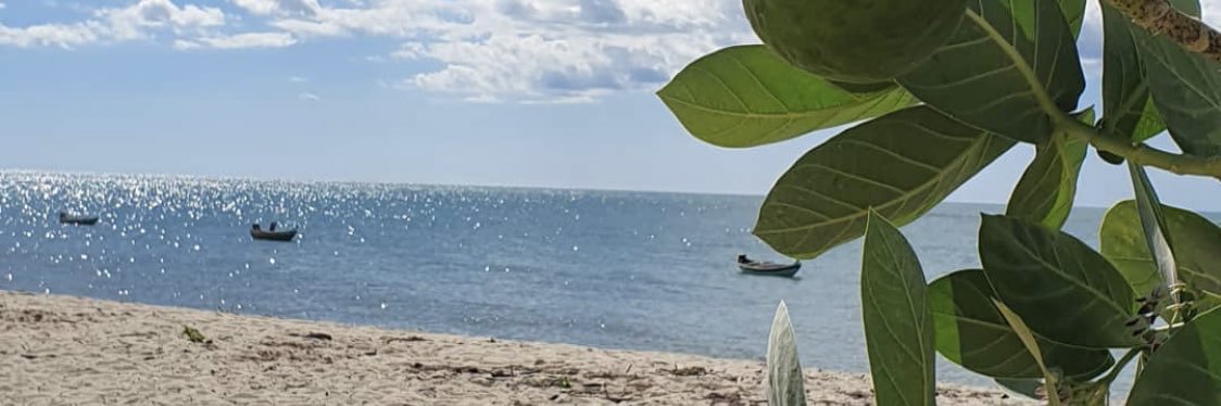 Camilaa_Matos's profile banner image