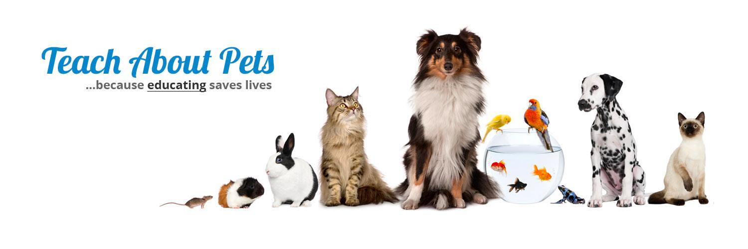 teachaboutpets's profile banner image