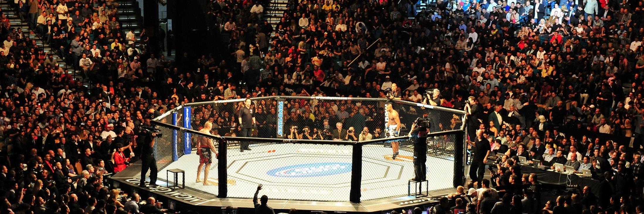 mmabreakdowns's profile banner image