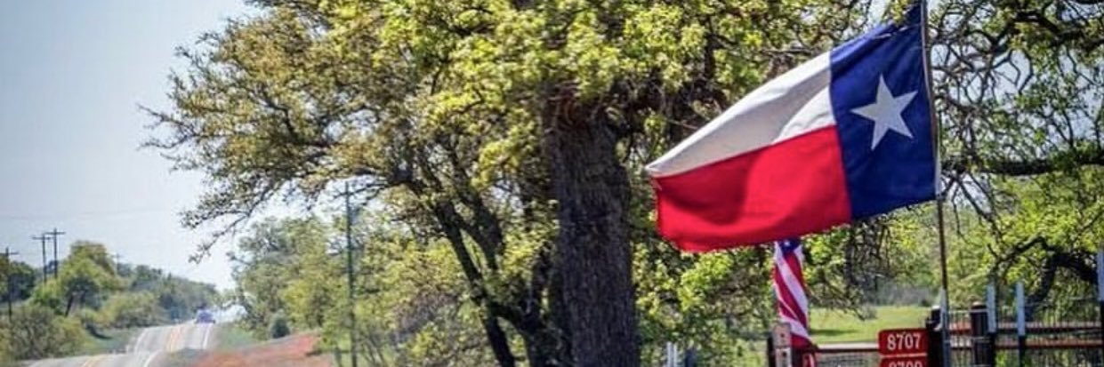 PinkDiamonds56's profile banner image