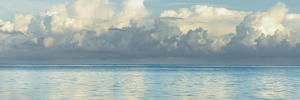WiartLucie's profile banner image