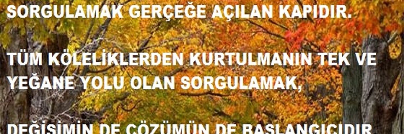 aaldemira's profile banner image