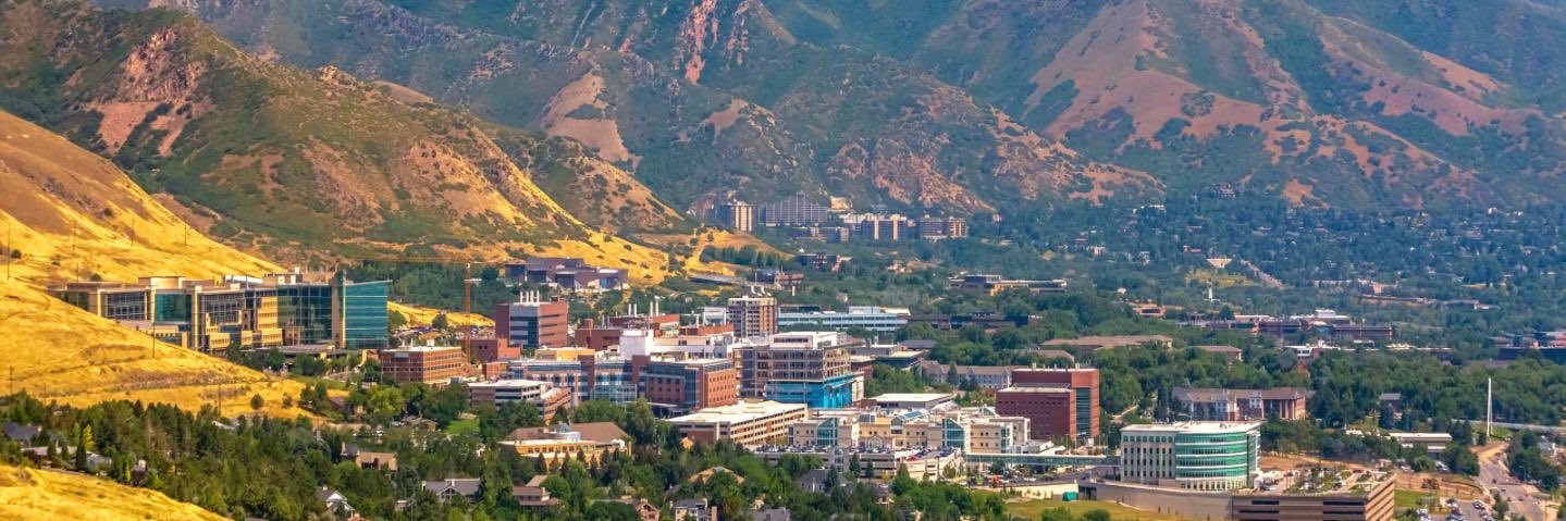 Michelle Litchman, PhD, FNP banner