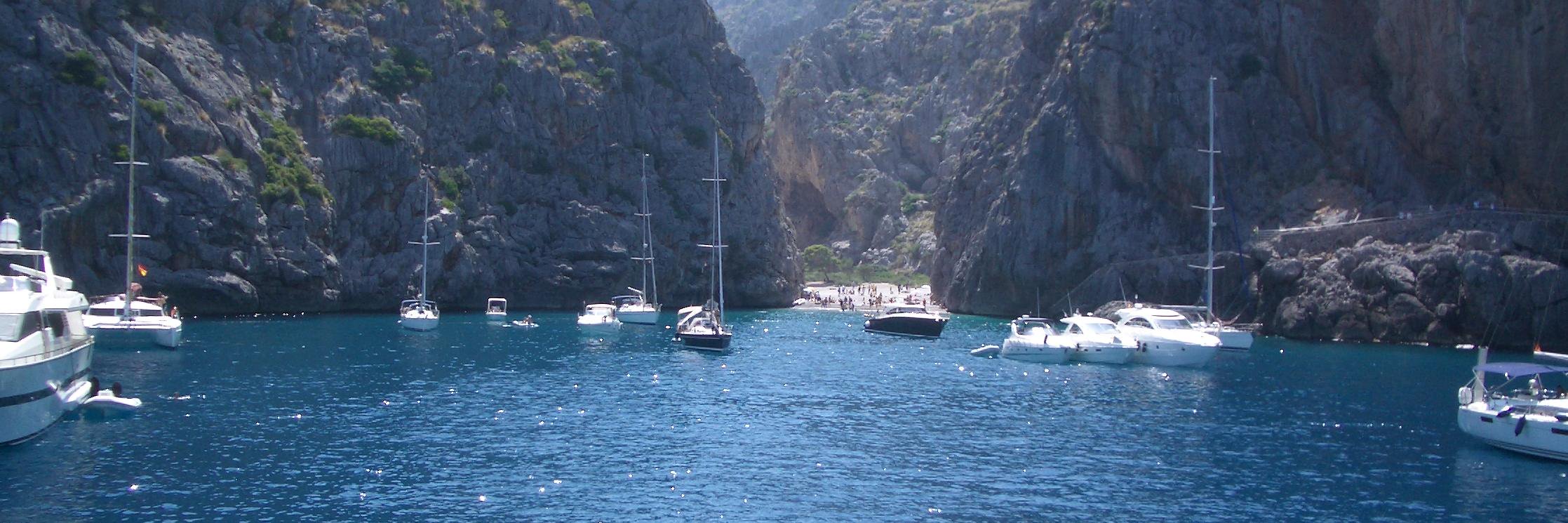 Antonio Rodrigues banner