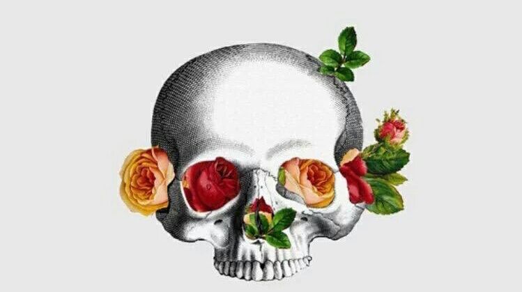 difusiondeluna's profile banner image
