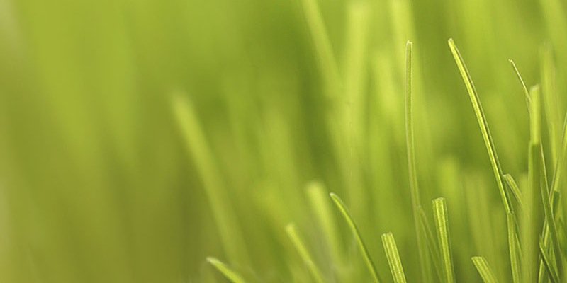 MJGiorgio's profile banner image