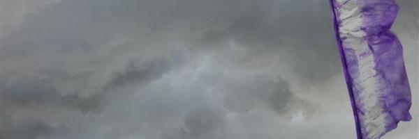 SteveScottFC Profile Banner