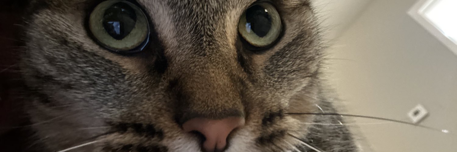 ralyne_barrett's profile banner image