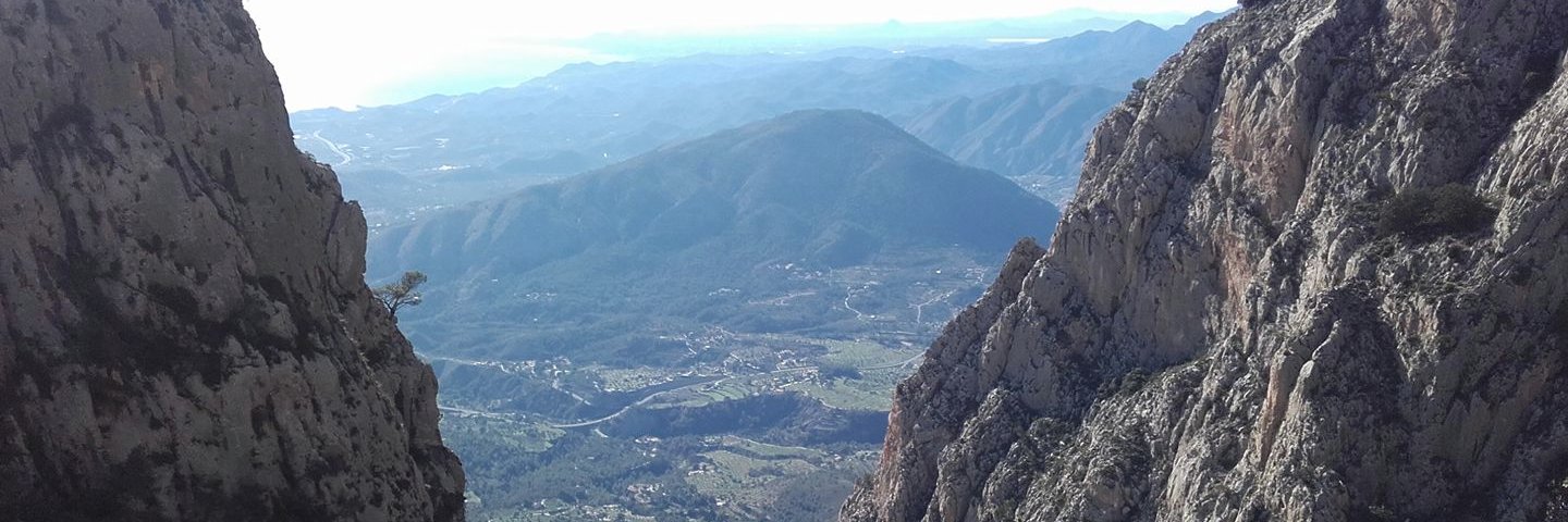 suzannekwallace's profile banner image