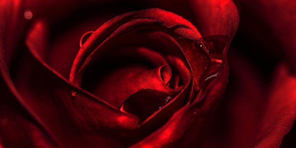 AdnanReada's profile banner image