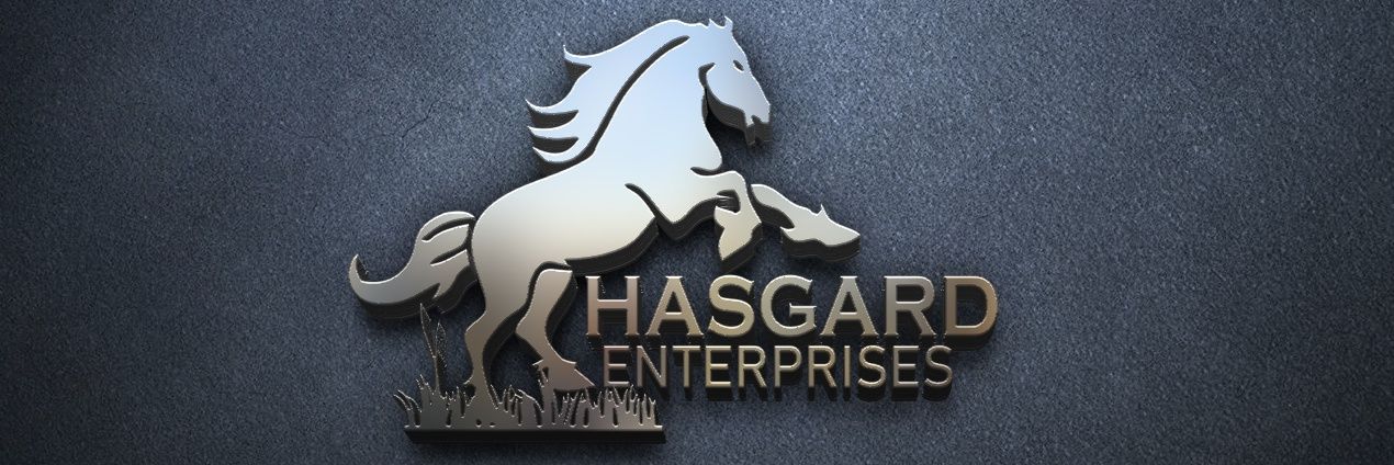 Hasgardtemmy's profile banner image