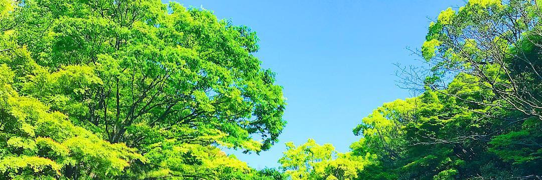 degisam's profile banner image