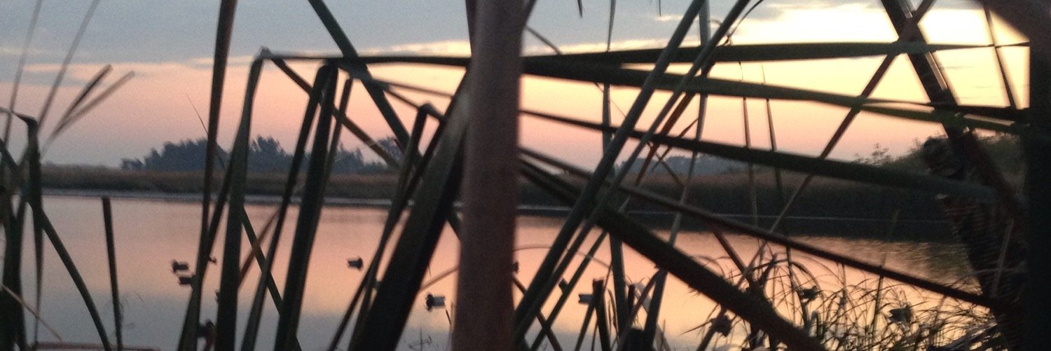 e_miller20's profile banner image