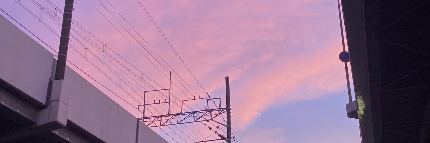 rainbow_gecko's profile banner image