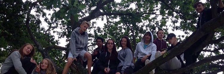 maisyhadley's profile banner image