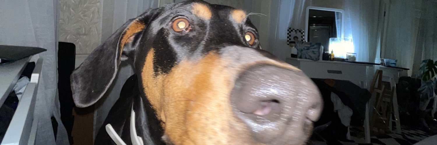 FindMeOnMarz's profile banner image