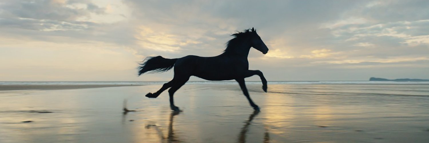 robert_eriksson's profile banner image