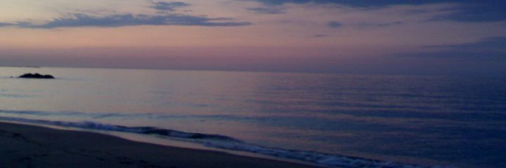ilarymoda's profile banner image