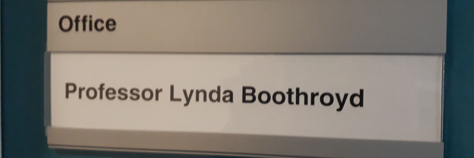 Prof Lynda Boothroyd banner