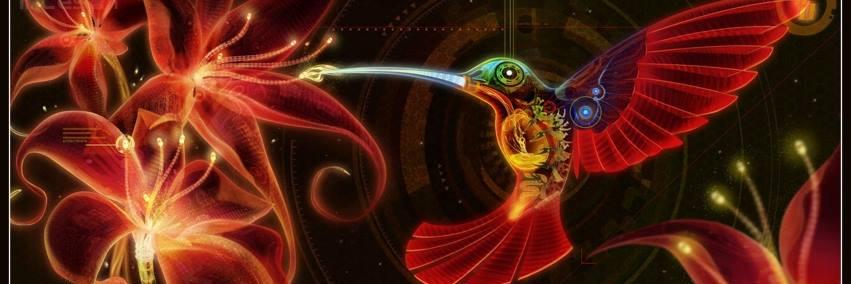 ibarbag's profile banner image