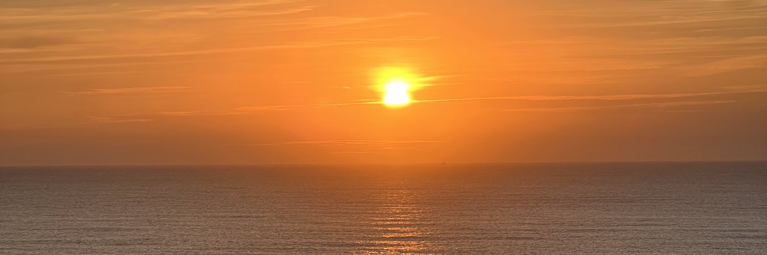 manulinage's profile banner image