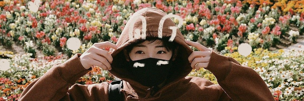 PPdh13's profile banner image