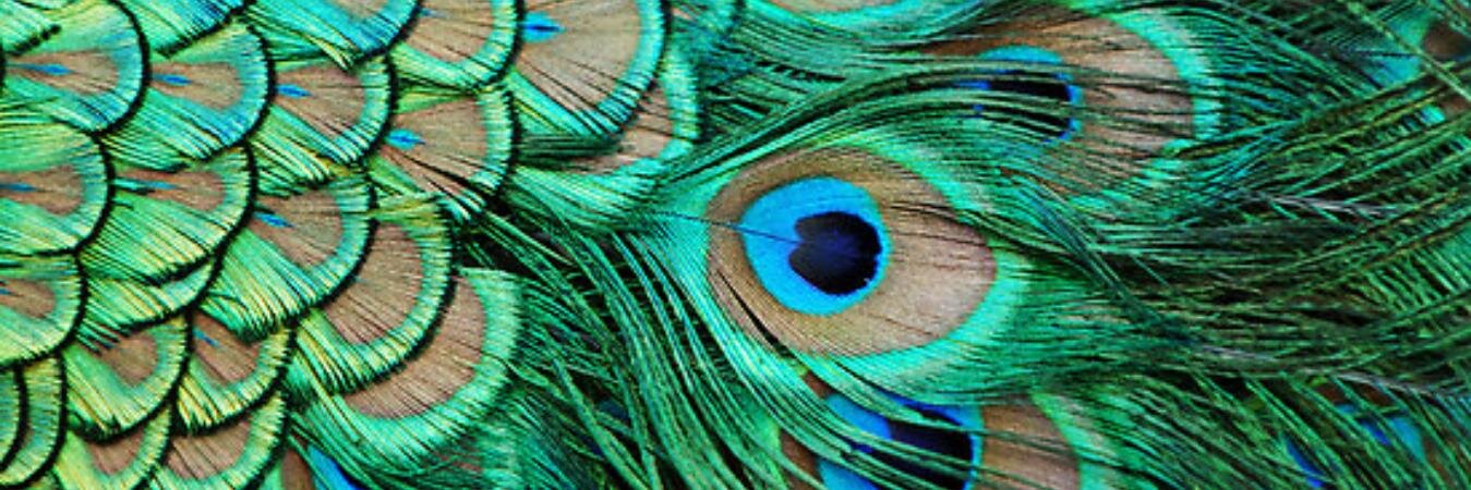 AzBad's profile banner image
