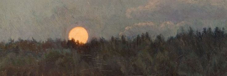 theselenephile's profile banner image