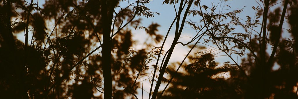 Ticia Tuyet Isimbi banner