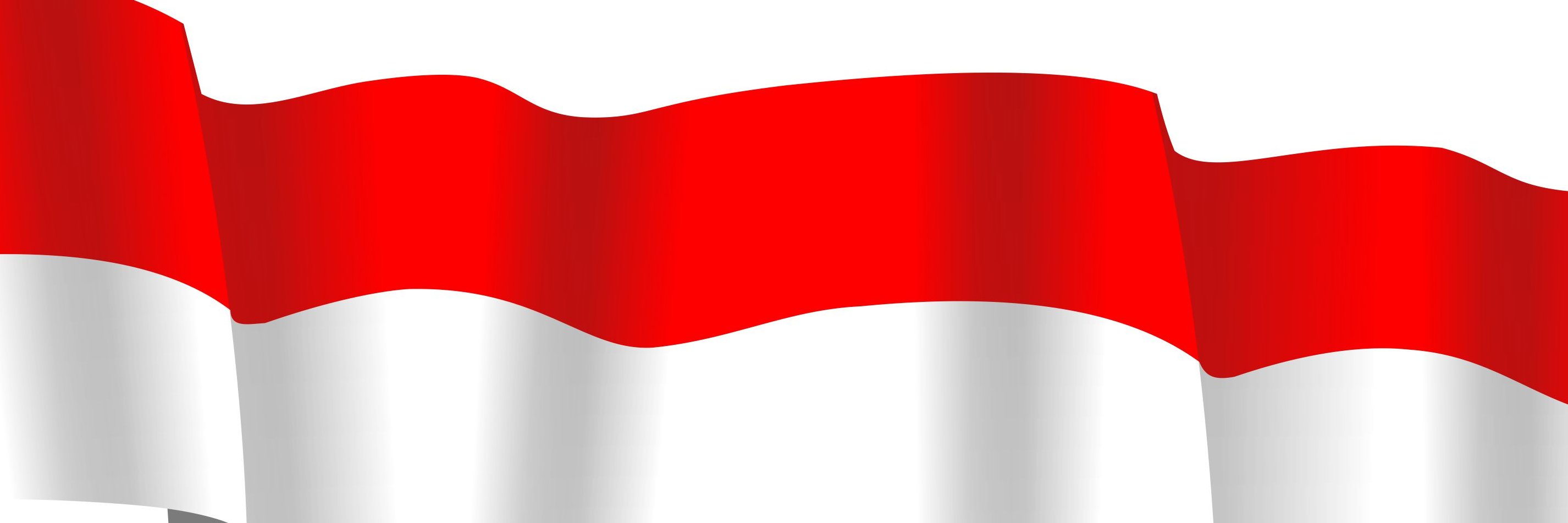 dickysupra's profile banner image