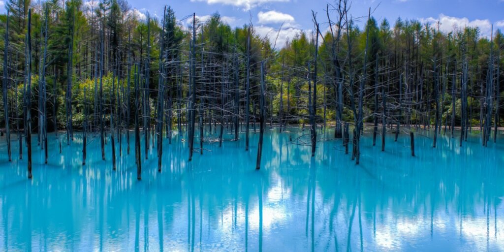 TopWorIdPics's profile banner image