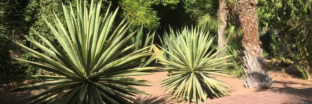 cuestone's profile banner image