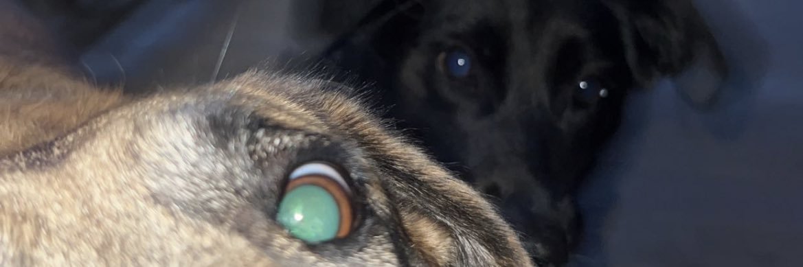 zpatterson_83's profile banner image