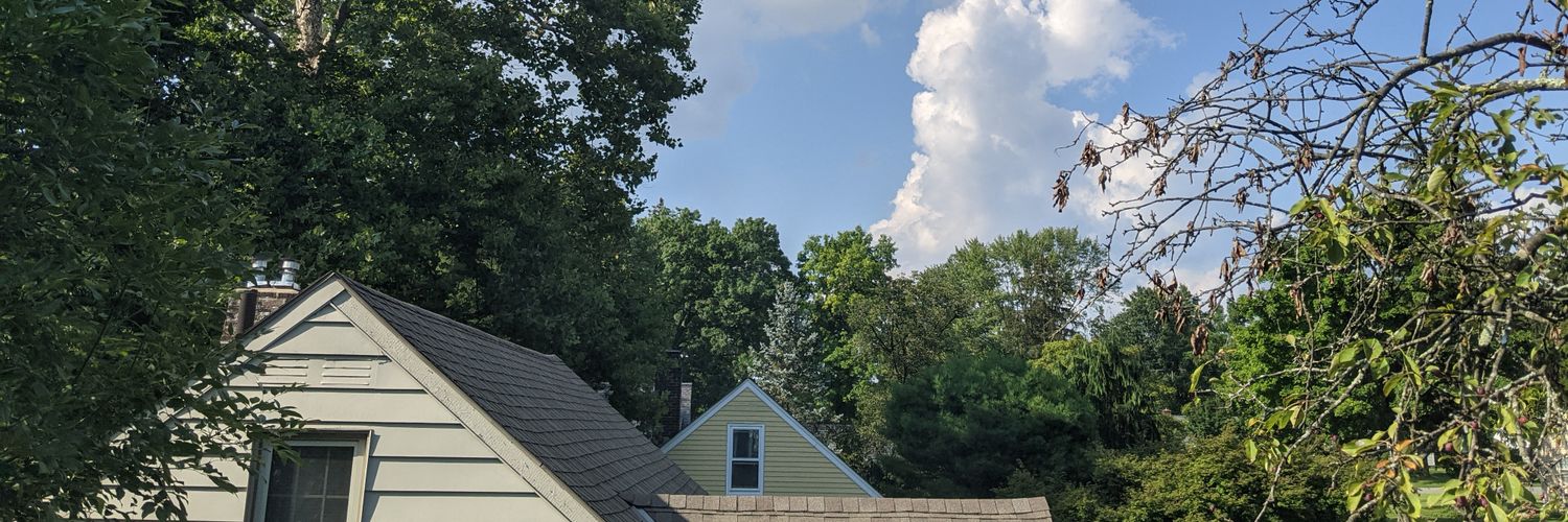 ElwoodWMason's profile banner image