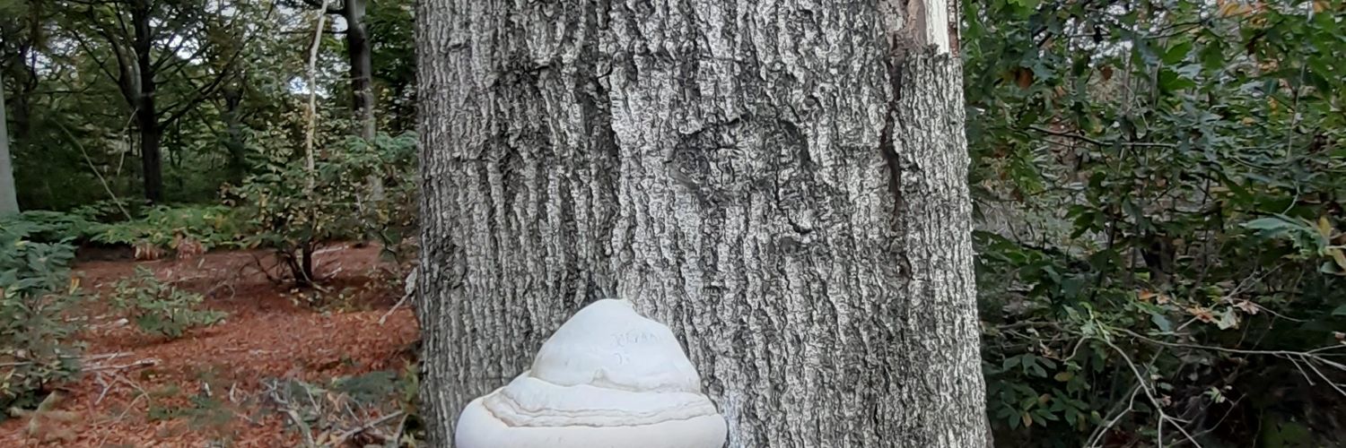JanJanjdcn's profile banner image