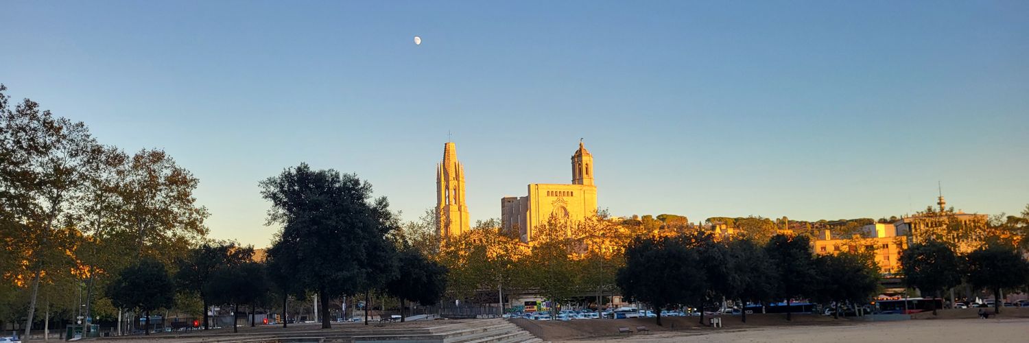 Gerard Bagué banner