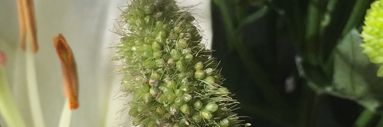 ❤♪♫ Aika Beats banner