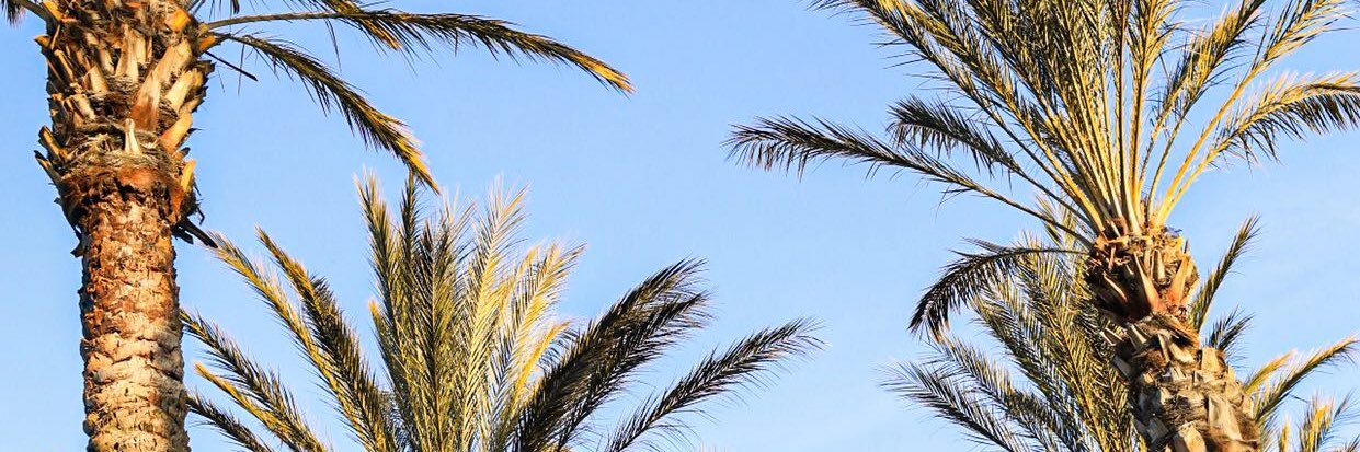 steph78_d's profile banner image