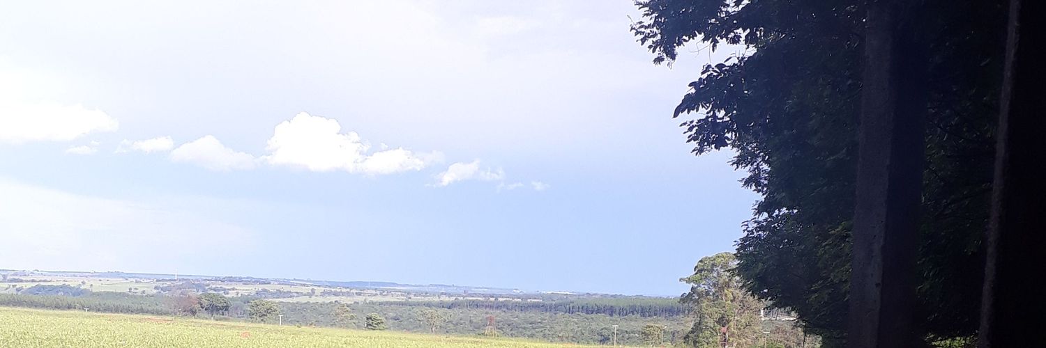 losimbra's profile banner image
