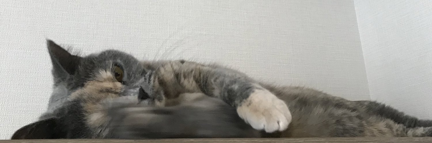 マリアンヌ banner