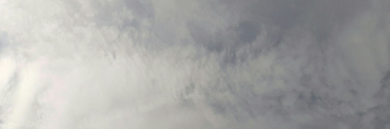 AndreLisches's profile banner image
