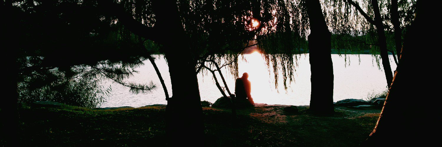 metac's profile banner image