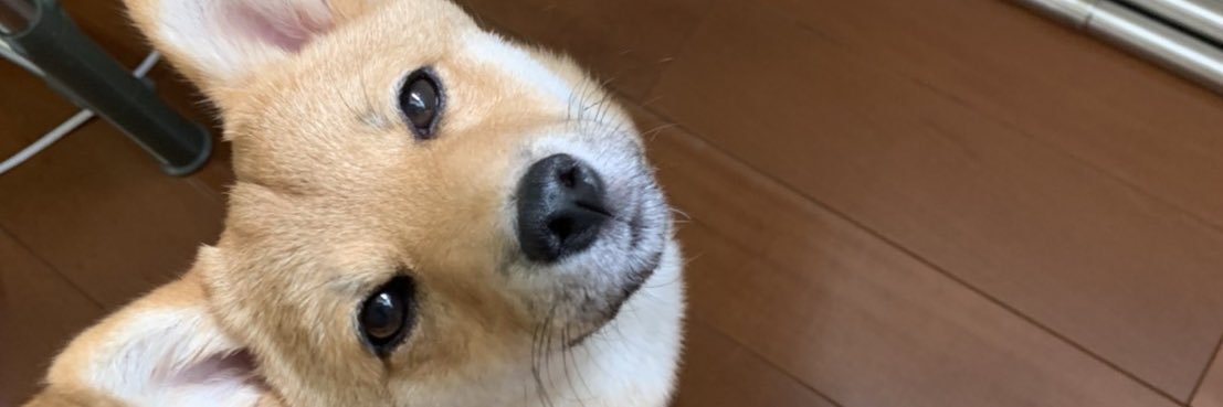 miii___3968's profile banner image