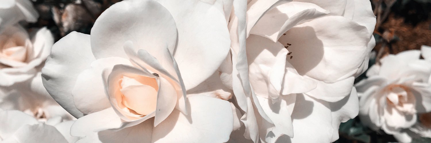 salxtx's profile banner image