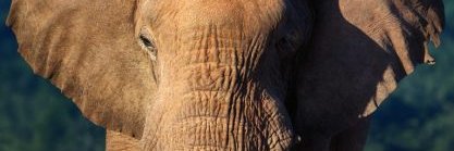 elede83's profile banner image